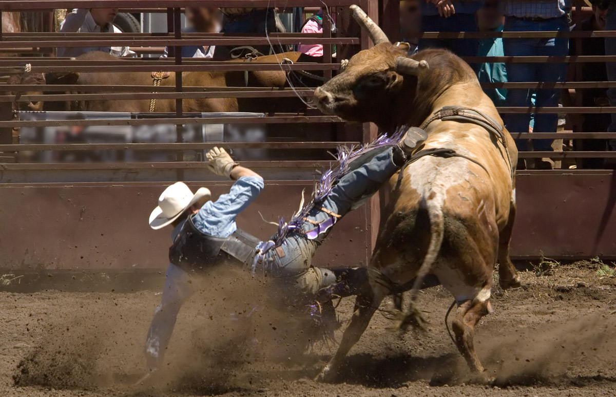 Man getting knocked off a bull